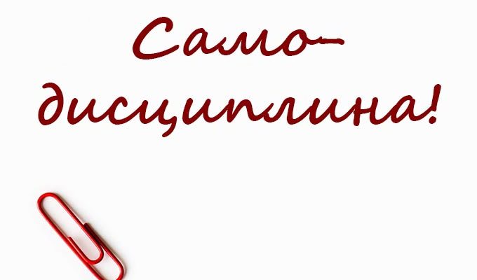 Рабочее место писателя (фото) :: Читаем электронные книги!