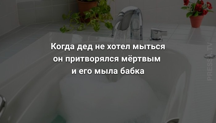 С тобою, чтоб спокойным быть, пустырник надо жрать. По полю прям идти, срывать и, не жуя, глотать. Прям с корнем,