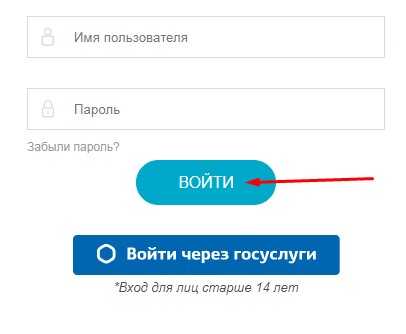 Образование 33 рф вход в личный кабинет