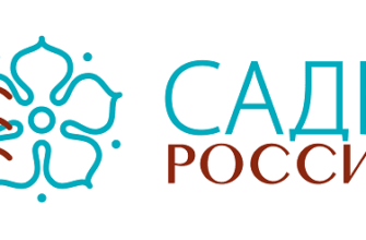 Исследовательский проект "Профессии связанные с рисованием" | Образовательная социальная сеть